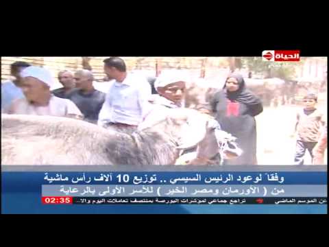 شاهد  10 آلاف رأس ماشية للأسر المحتاجة
