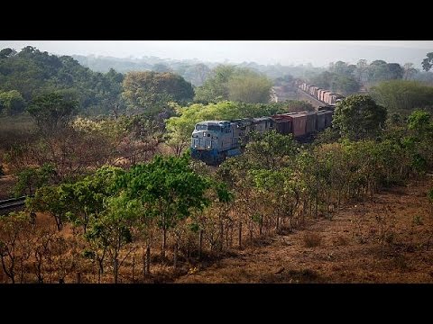 بالفيديو قطار صيني حديث يخترق غابات الأمازون