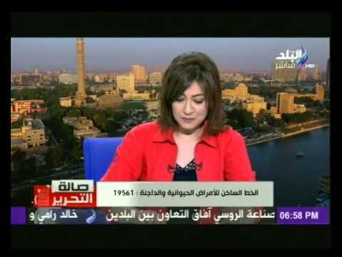 شاهد رئيس شعبة الثروة الداجنة يتعرَّض لموقف محرج