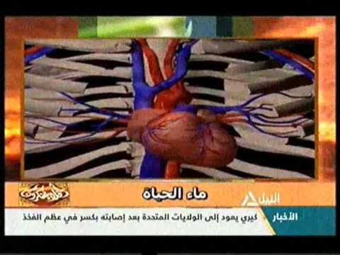 بالفيديو أهمية الدم في رحلة الإنسان