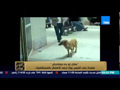 صور مؤسفة لقطط وقمامة ومعزة داخل المستشفيات