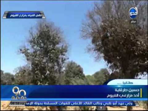 شاهد انقطاع مياه الري منذ أربعة أيام عن أراض زراعية