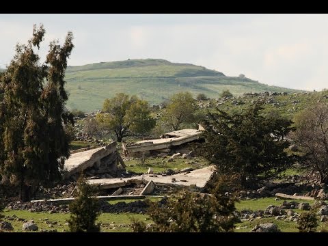 وول مارت تمتلك أكثر من 76 مليار دولار