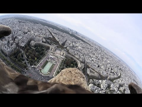 النسر الطائر يُحلّق بكاميرته فوق باريس