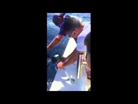 شاهد روبين فان بيرسي يصطاد سمكة قرش