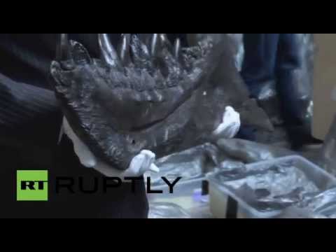 بالفيديوبرلينتعرضهيكلًاعظميًالـتيرانوصورركس