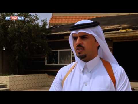 في ظل سياسات الحكومات لحماية البيئة