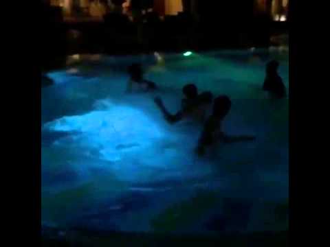 شاهد لاعبو الزمالك في احتفال داخل حمام السباحة