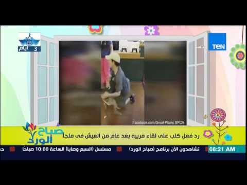 شاهد  كلب يتلقي مربيه بعد عام في ملجأ للحيوانات