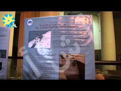 بالفيديو جولة في معرض الآثار المكتشفة في السويس