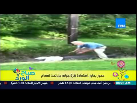 شاهد فيديو لمعركة عنيفة بين رجل عجوز وتمساح
