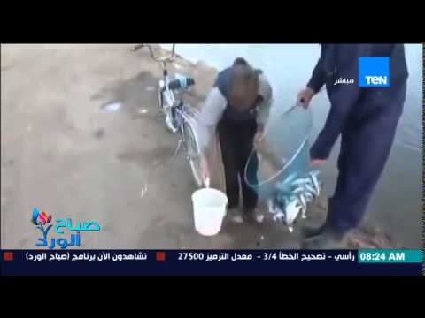 شاهد أسهل عملية لاصطياد السمك دون انتظار طويل