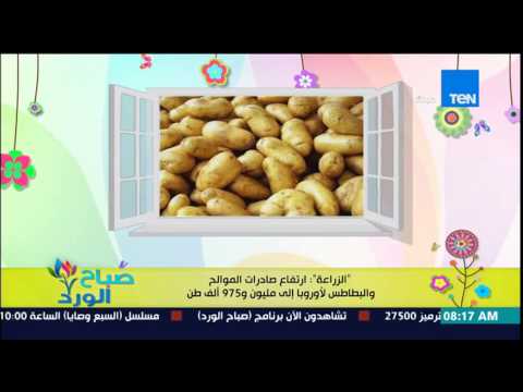 شاهد ارتفاع صادرات الموالح والبطاطس إلى أوروبا