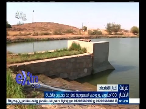 شاهد 100 مليون يورو من السعودية لمزرعة جمبري في محور قناة السويس