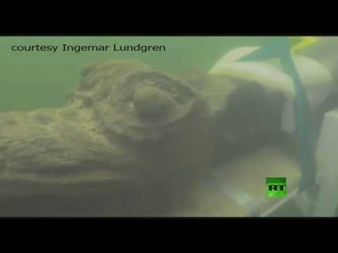 بالفيديو العثور على «وحش بحري» في أعماق بحر البلطيق