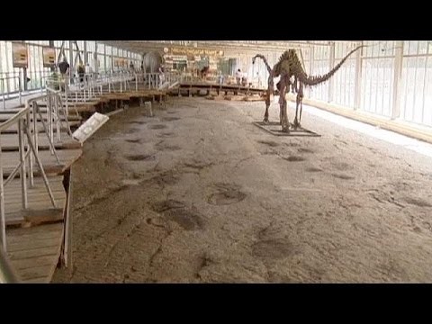 شاهد أطول درب من آثار أقدام الديناصورات