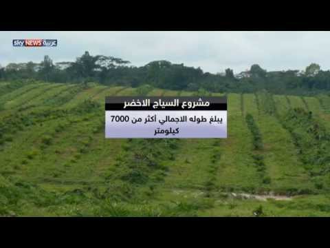 مشروع سوداني لزراعة آلاف الأشجار لمكافحة التصحر