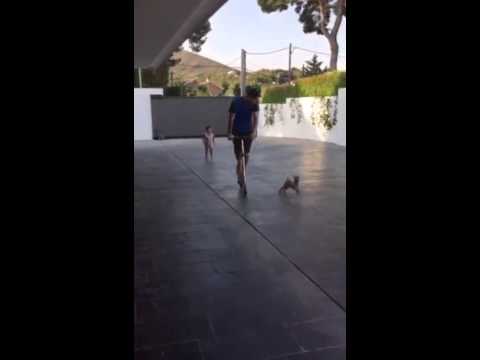 شاهد مانشستر سيتى الإنجليزى يضم دى بروي