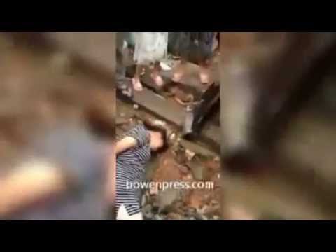 بالفيديو ربط امرأة حامل في شجرة وتلقينها علقة ساخنة