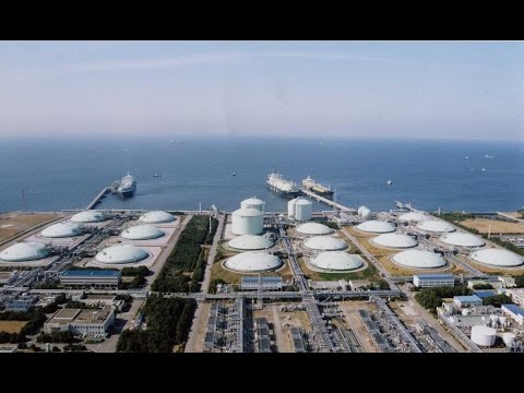 شاهد مصريون يؤكدون أنّ الأمل يعود من جديد