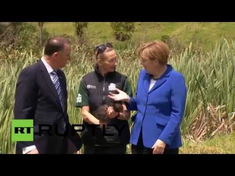 ميركل تداعب طائرا في زيارة لنيوزيلندا