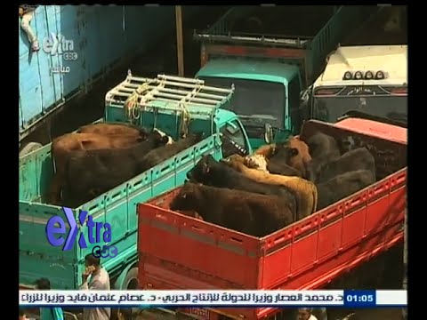 شاهد روسيا تعتزم تصدير الحبوب والمواشي إلى مصر