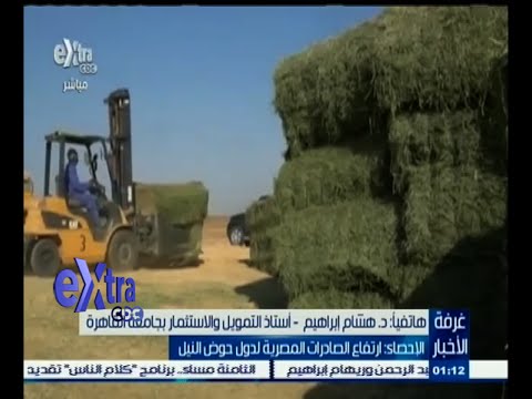 40 نسبة التراجع في صادرات مصر للدول العربية