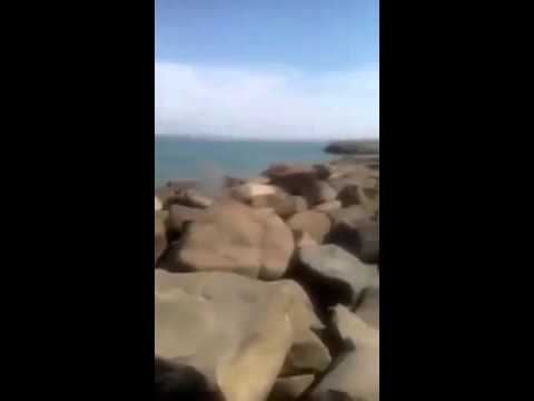 بالفيديو رجل يحمل عصا ويطارد شبابا في أوضاع غرامية