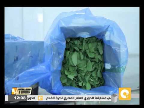 شاهدالخارجية الفلسطينية ترحب بقرار الاتحاد الأوروبي