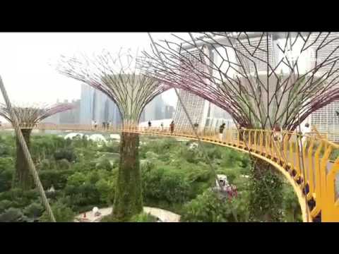 حدائق صديقة للبيئة تجذب السياح في سنغافورة