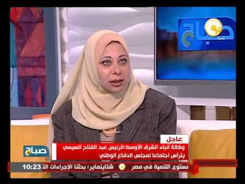 طبيعة عمل صندوق تحيا مصر وتمويله