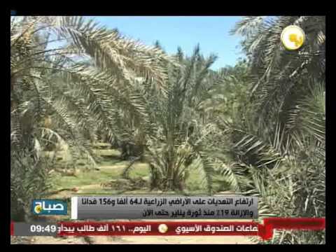 ارتفاع التعديات على الأراضي الزراعية لـ 64 ألفًا و 156 فدانًا
