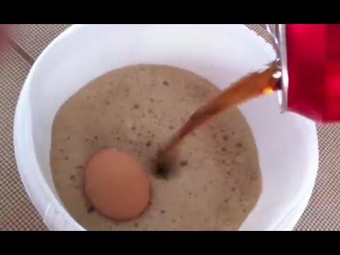 ماذا يحدث للبيضة عند وضعها في كوكا كولا