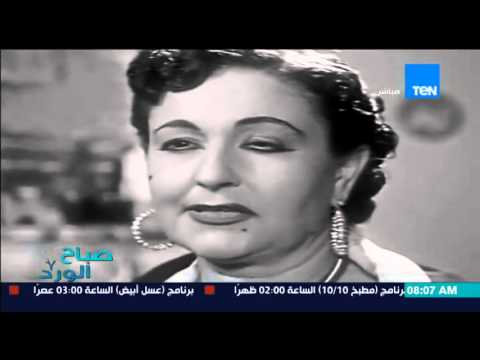 التاريخ الفني للفنانة نجمة إبراهيم  شريرة السينما المصرية