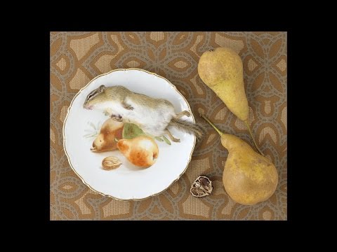 فنانة أميركية تصنع لوحاتها من الحيوانات الميتة