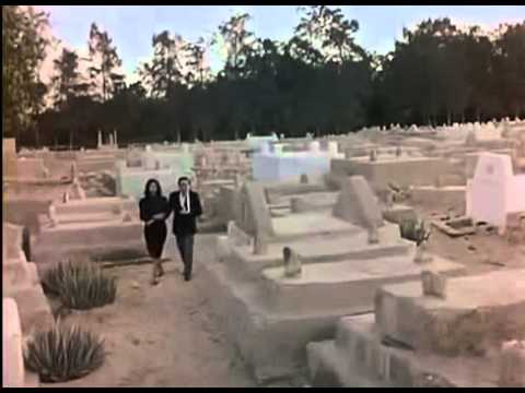 شاهد ذكرى ميلاد الموسيقار حسن أبو السعود