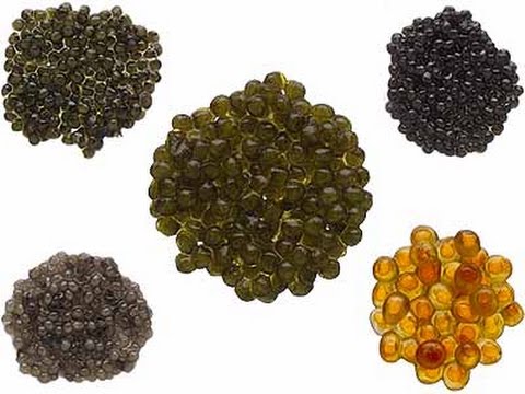 حنفي ينفي صرف الكافيار على بطاقات التموين