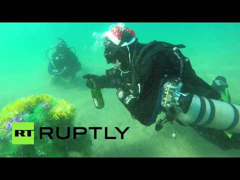 غواصون يحتفلون بعيد الميلاد تحت مياه الخليج المتجمدة