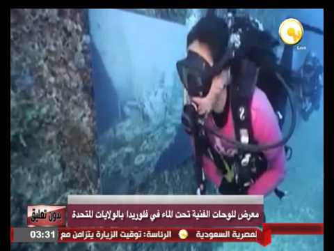 معرض للوحات الفنية تحت الماء في الولايات المتحدة