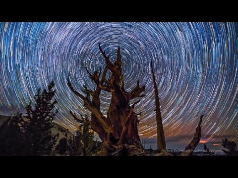 amazing timelapses show