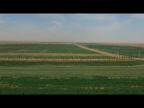 new technology in china turns desert into land rich