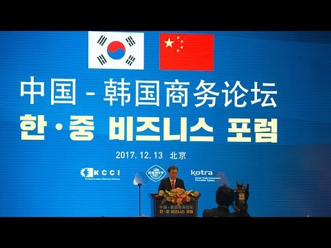 s korean president chinese vice premier attend beijing business forum