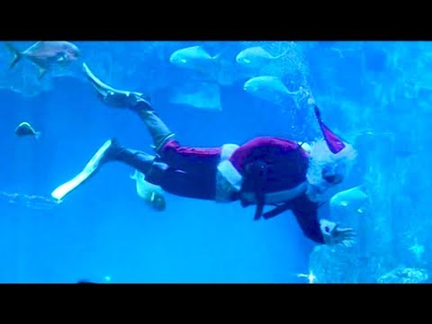 christmas day is coming how do you celebrate