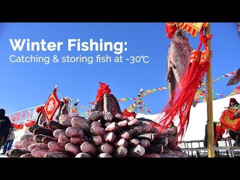 catchingstoring fish at 30℃