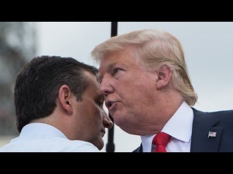 makes remarks about rivals donald trump and ben carson