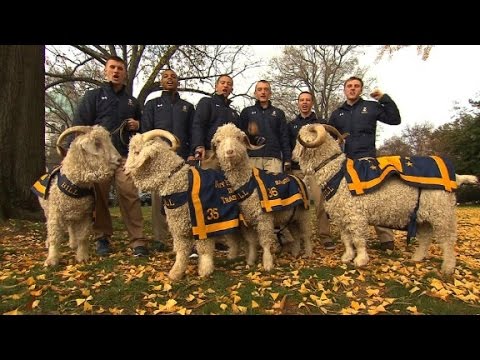 prepare to square off for the 116th time