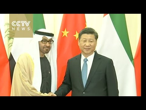 president xi jinping meets crown prince of abu dhabi