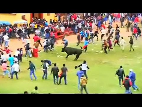 bull running festival8 leaves 8 injured
