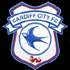 cardiff city