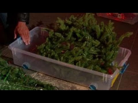 how to properly dispose a christmas tree